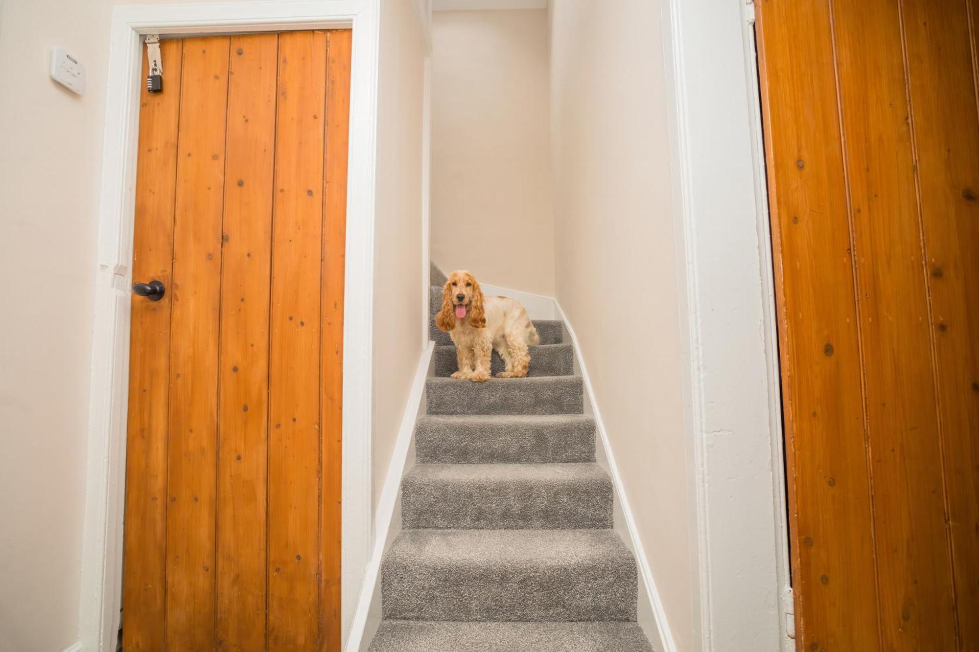 Tig Cottage - A Rural, Quirky, Pet Friendly 2 Bedroom Cottage Near Ballantrae Exterior foto